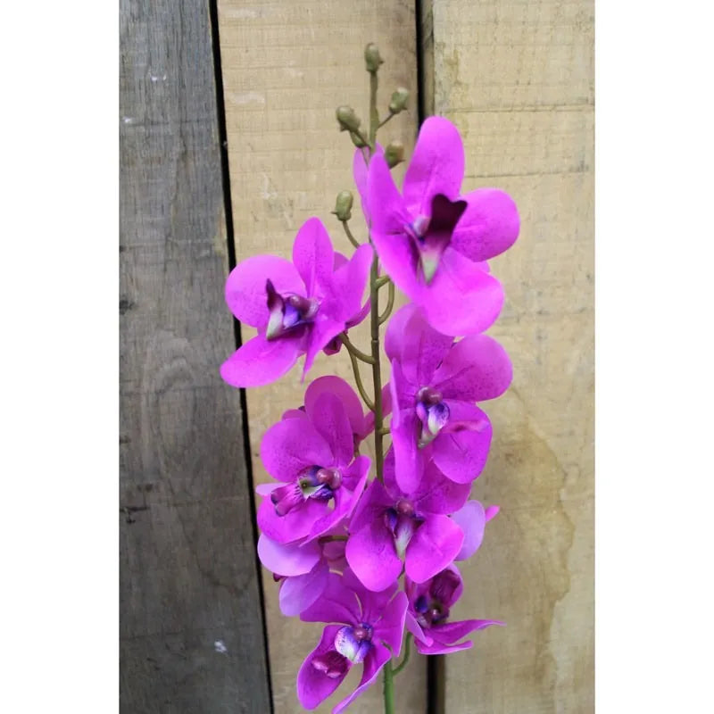 SF0813CE Wholesale Flowers by Flowers Made Easy