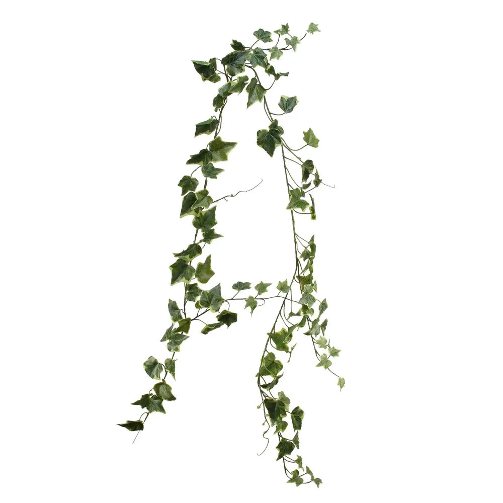 Ivy Garland (180cm) Wholesale Flowers by Flowers Made Easy