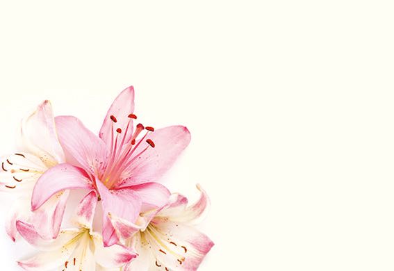 Greeting Card - Pale Pink and Ivory Lilies