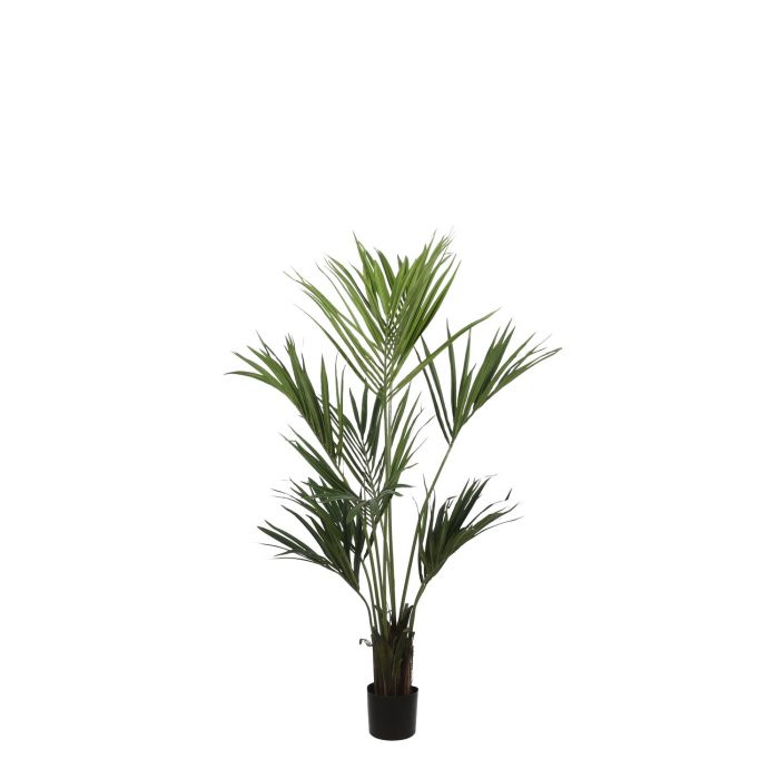 MICA DECORATIONS KENTIA PALM - H150 X Ø130 CM - GREEN