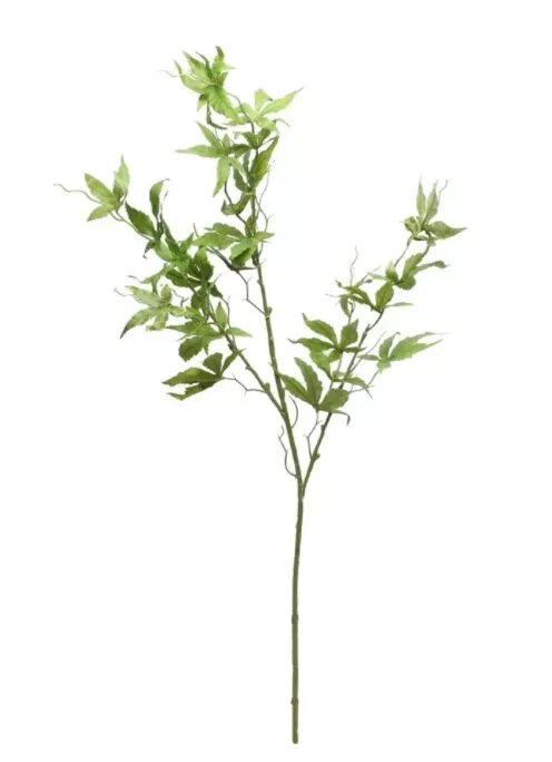 Maple Leaf (87cm)