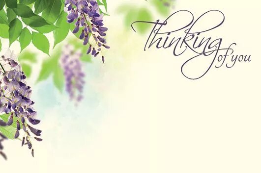Greeting Card - Thinking of You