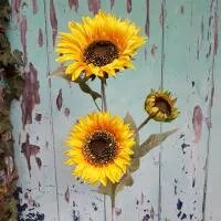 Artificial - Sunflower