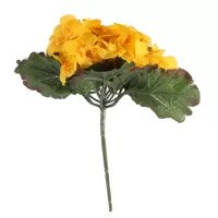 Primula x 25 Flowers Lilac Yellow (24/432)
