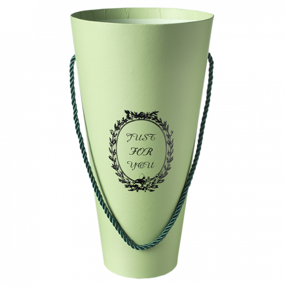 Porto Cone (Lined) - Sage Green