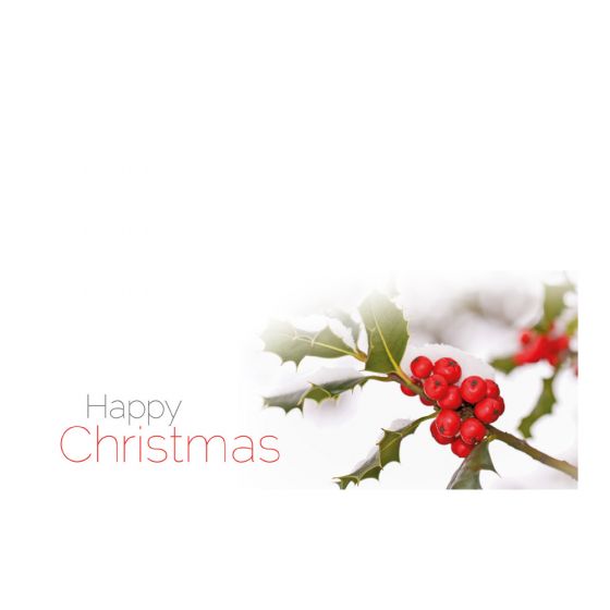 Happy Christmas Holly Classic Worded Card