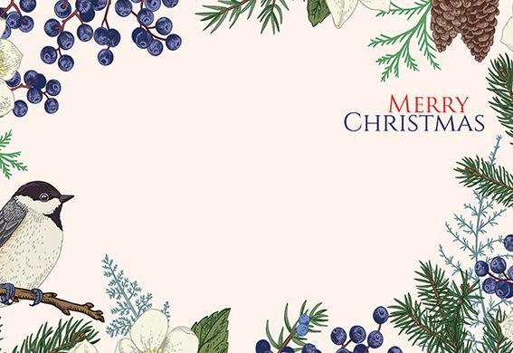 Merry Christmas - Bird & Fern Classic Worded Card