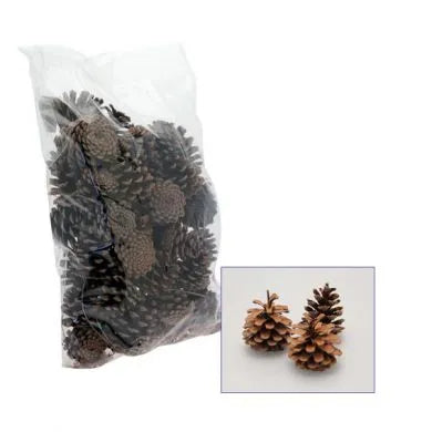 Austriaca Cones (1Kg)