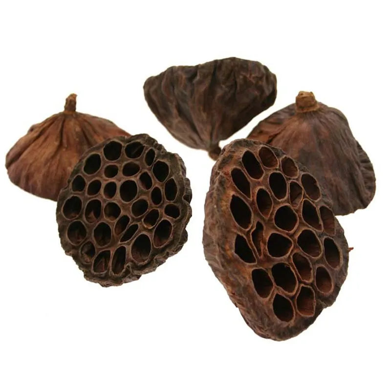 Lotus Heads - Natural