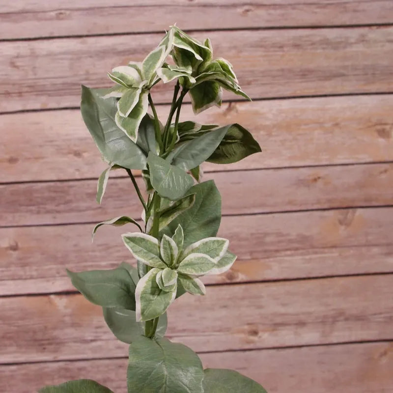 Euphorbia Marginata Spray (67.4cm)