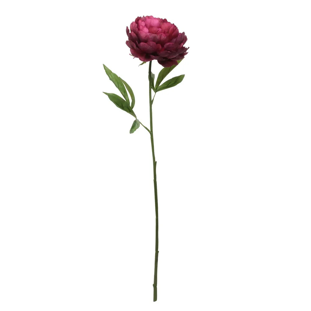 Single Peony Burgundy (62cm)