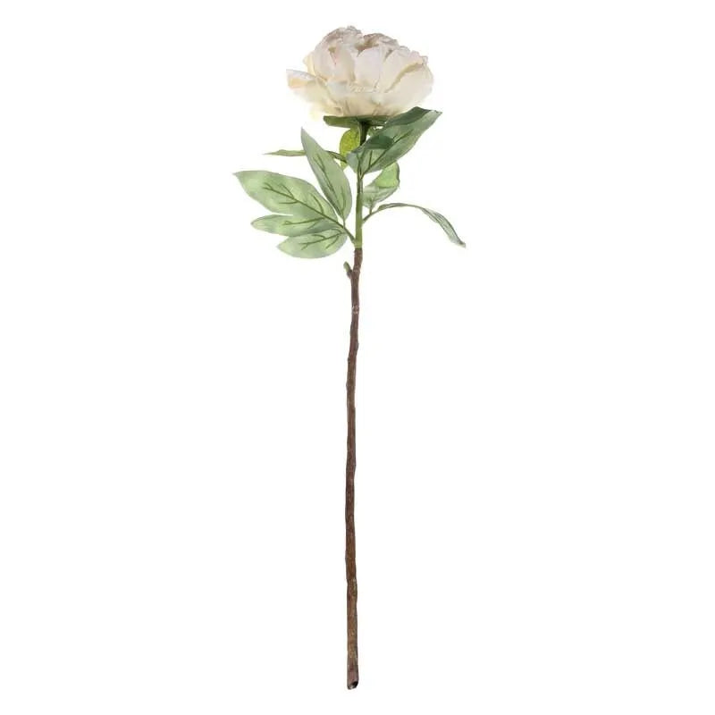 Single Peony Cream (71cm)