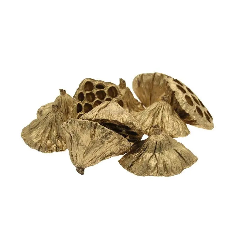 Gold Medium Lotus Heads (x20) (6-8cm)