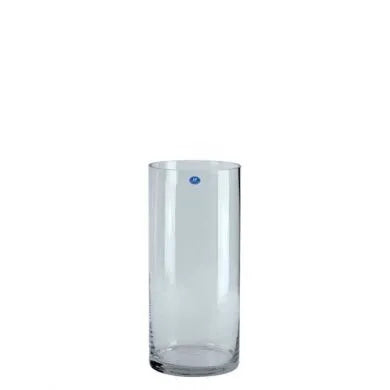 Glass Cylinder (H40cm)