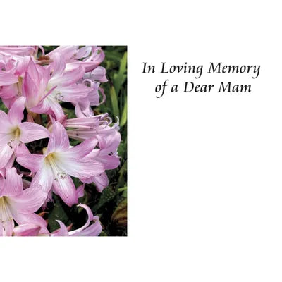 In Loving Memory - Dear Mam Cards x50
