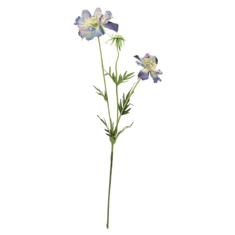 Scabiosa Spray x 3 Light Blue