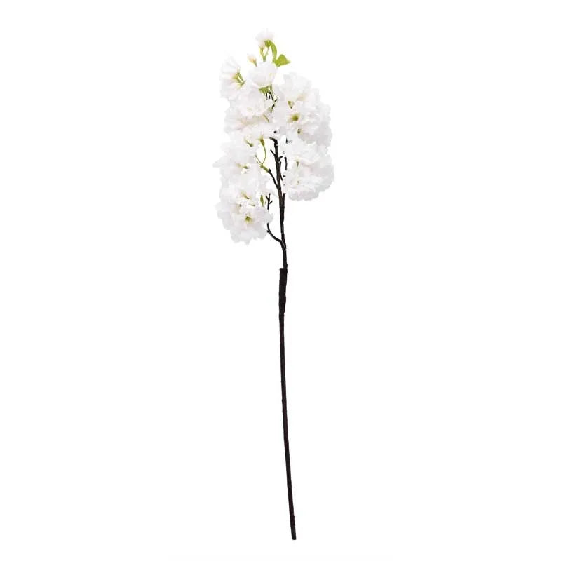 Single Apple Blossom White
