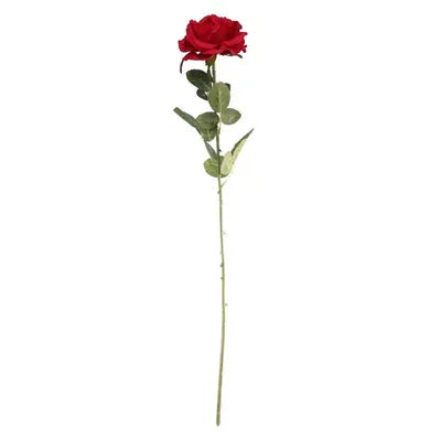 Arundel Open Rose Red (76cm x 13cm)