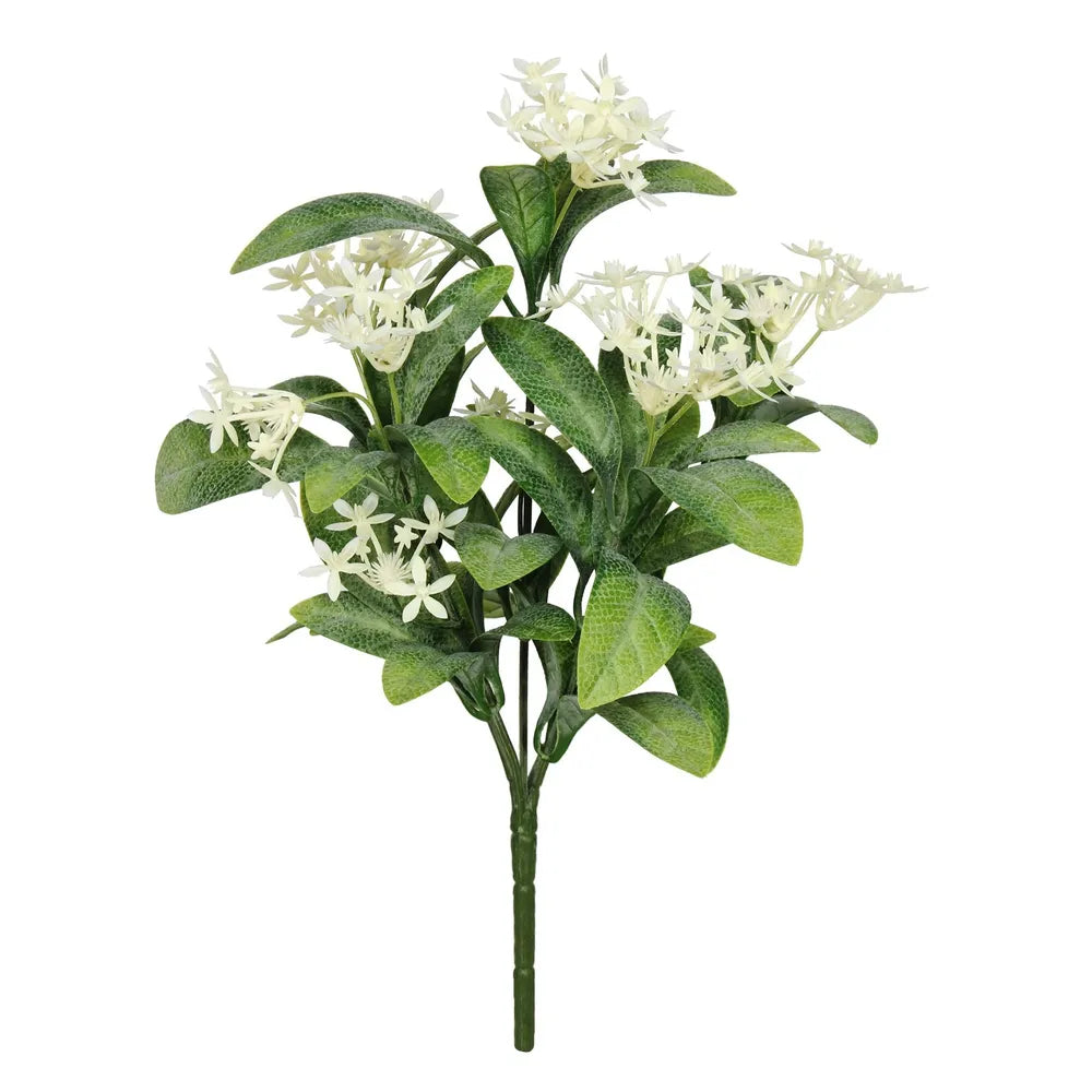 Exterior Everlast 25cm Star Flower plant U.V