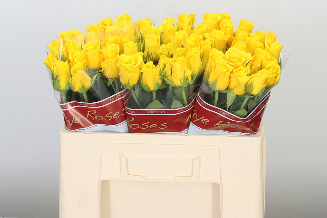 Yellow Rose - 10 stems