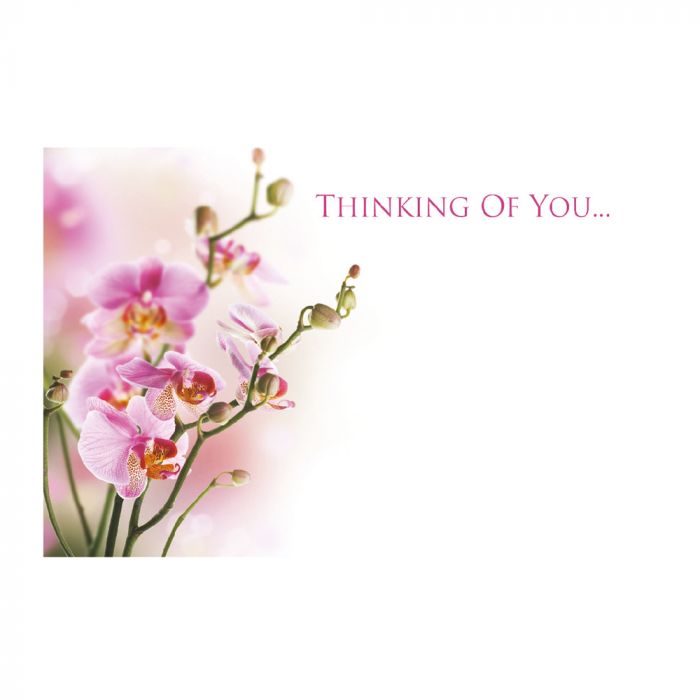 Greeting Card - Thinking of You