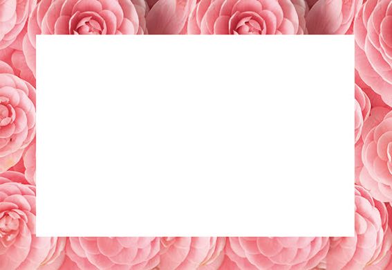 Greeting Card - Pink Dahlia Border