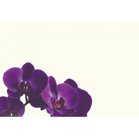 Greeting Card - Orchid Purple