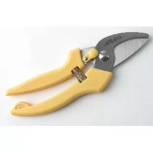 Secateurs