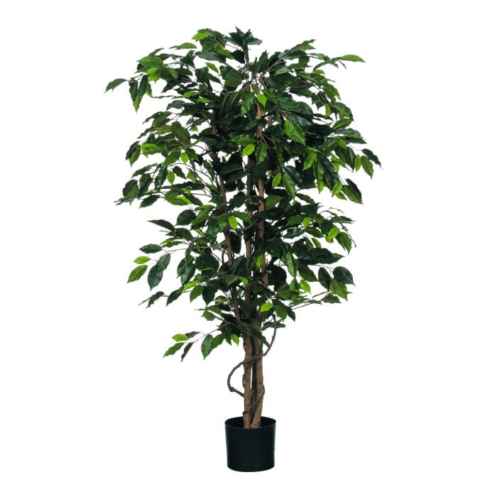 MICA DECORATIONS FICUS ARTIFICIAL PLANT - H150 X Ø85 CM - GREEN