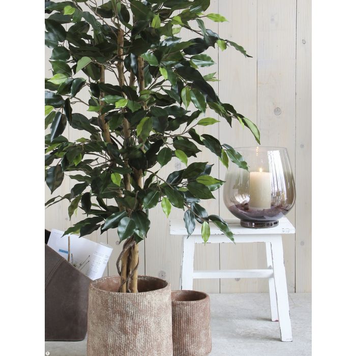 MICA DECORATIONS FICUS ARTIFICIAL PLANT - H150 X Ø85 CM - GREEN