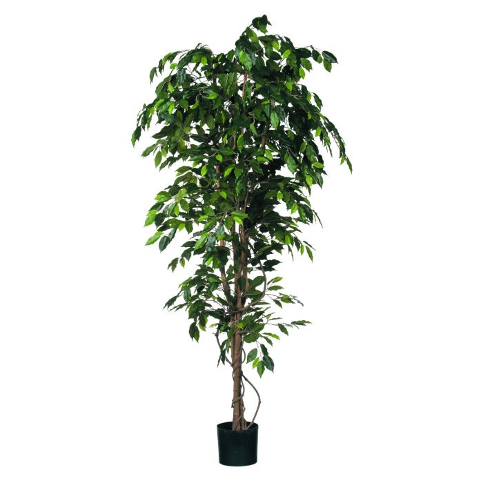 MICA DECORATIONS FICUS ARTIFICIAL PLANT - H200 X Ø85 CM - GREEN