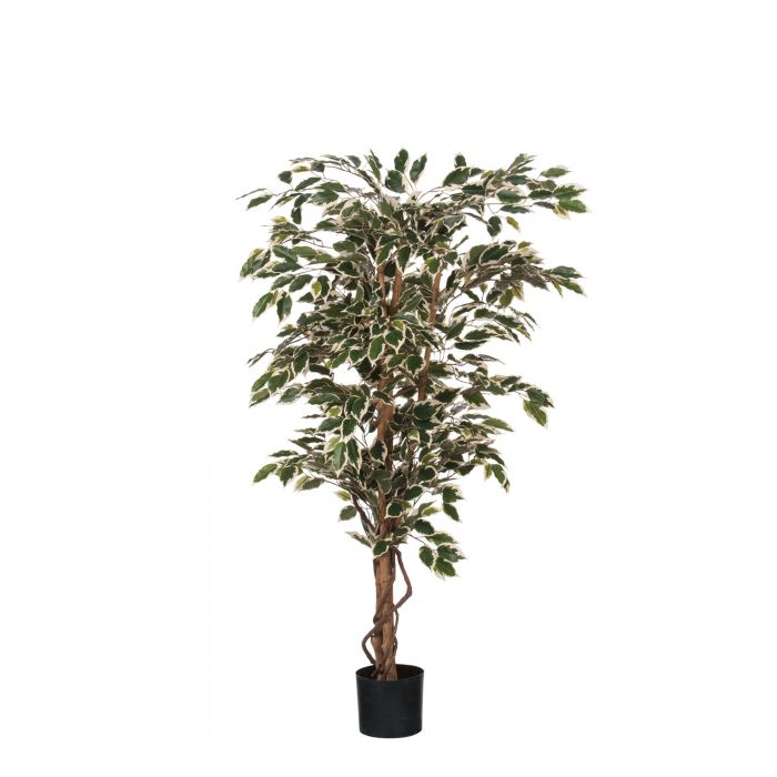 MICA DECORATIONS FICUS ARTIFICIAL PLANT - H135 X Ø75 CM - GREEN VARIEGATED