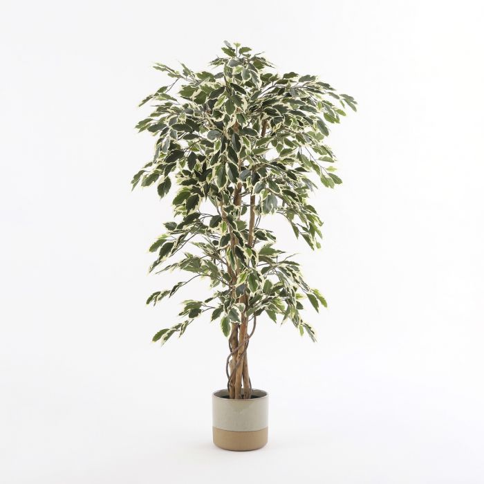 MICA DECORATIONS FICUS ARTIFICIAL PLANT - H135 X Ø75 CM - GREEN VARIEGATED