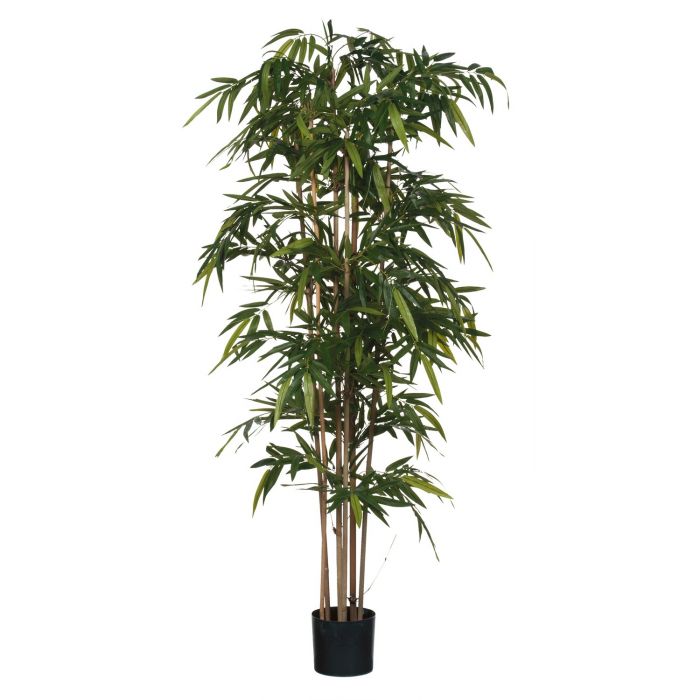MICA DECORATIONS BAMBOO ARTIFICIAL PLANT - H200 X Ø100 CM - GREEN