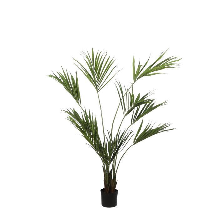 MICA DECORATIONS KENTIA PALM - H180 X Ø140 CM - GREEN