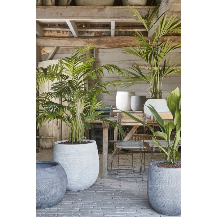 MICA DECORATIONS KENTIA PALM - H180 X Ø140 CM - GREEN