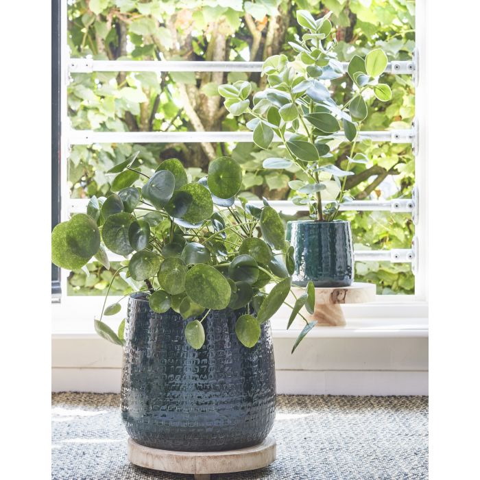 MICA DECORATIONS FLOYD PLANT POT - H13 X Ø15 CM - GREEN