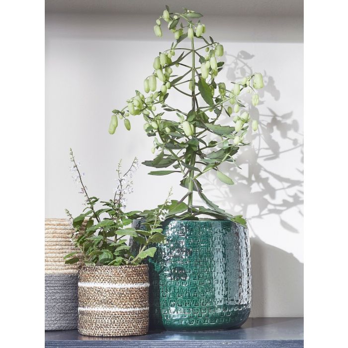 MICA DECORATIONS FLOYD PLANT POT - H17 X Ø19 CM - GREEN