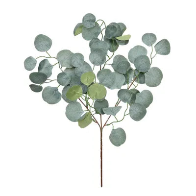 Silver dollar Eucalyptus