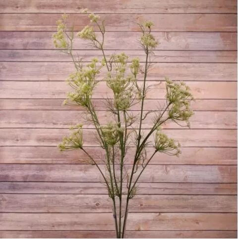 Large Queen Ann Lace (122cm)