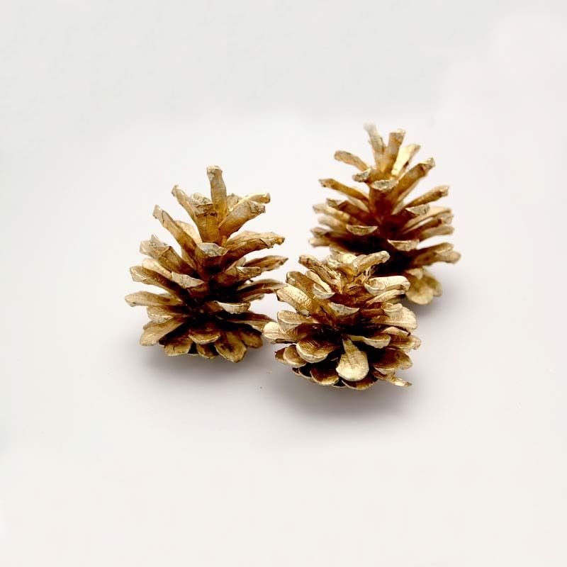 Pine Cones - Gold/silver on stick