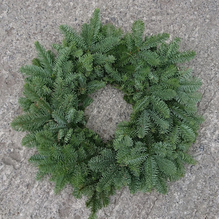 Nobilis Wreath - 10”