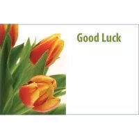 Greeting Card - Good Luck