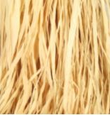 Raffia - Natural