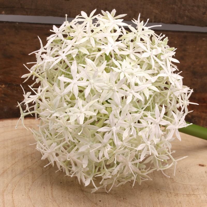 Artificial - Allium - Cream/White