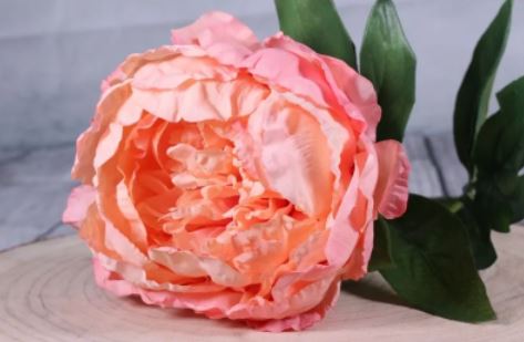 Artificial - Peony - Peach