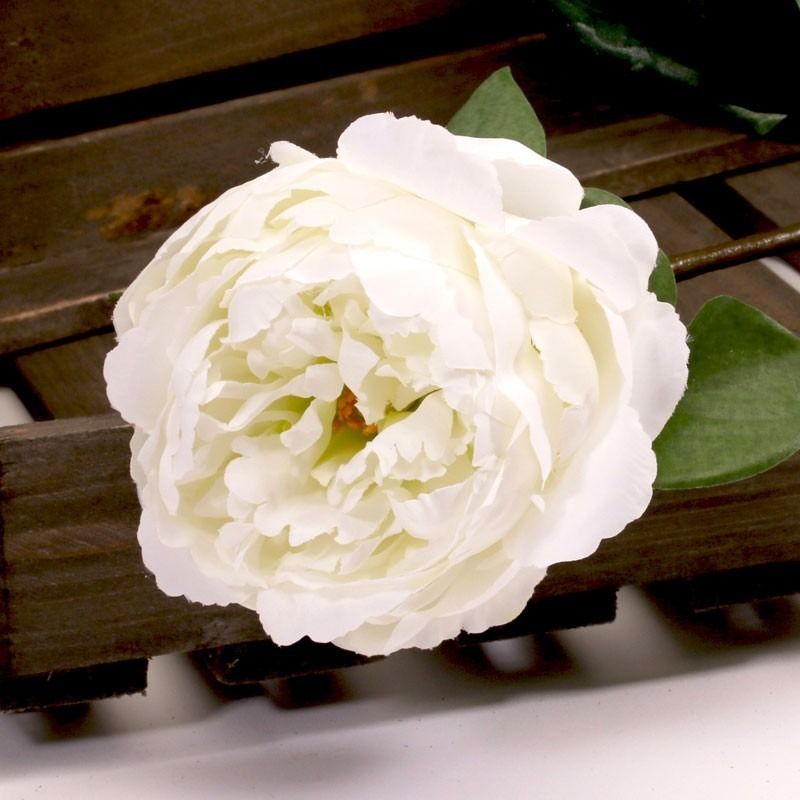 Artificial - Peony - Cream