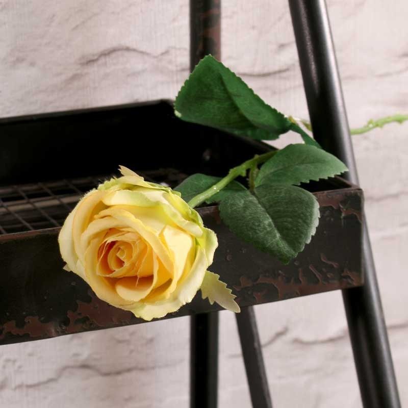 Artificial - Buckingham Rose - Yellow