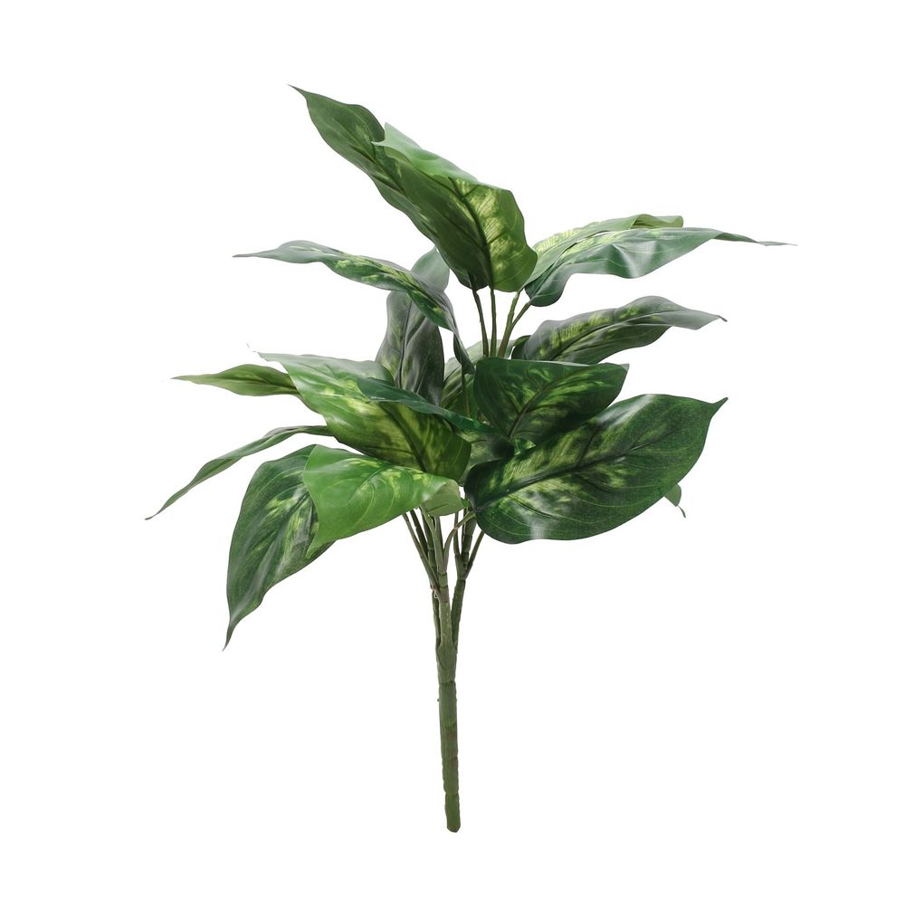 Artificial - Dieffenbachia Plant