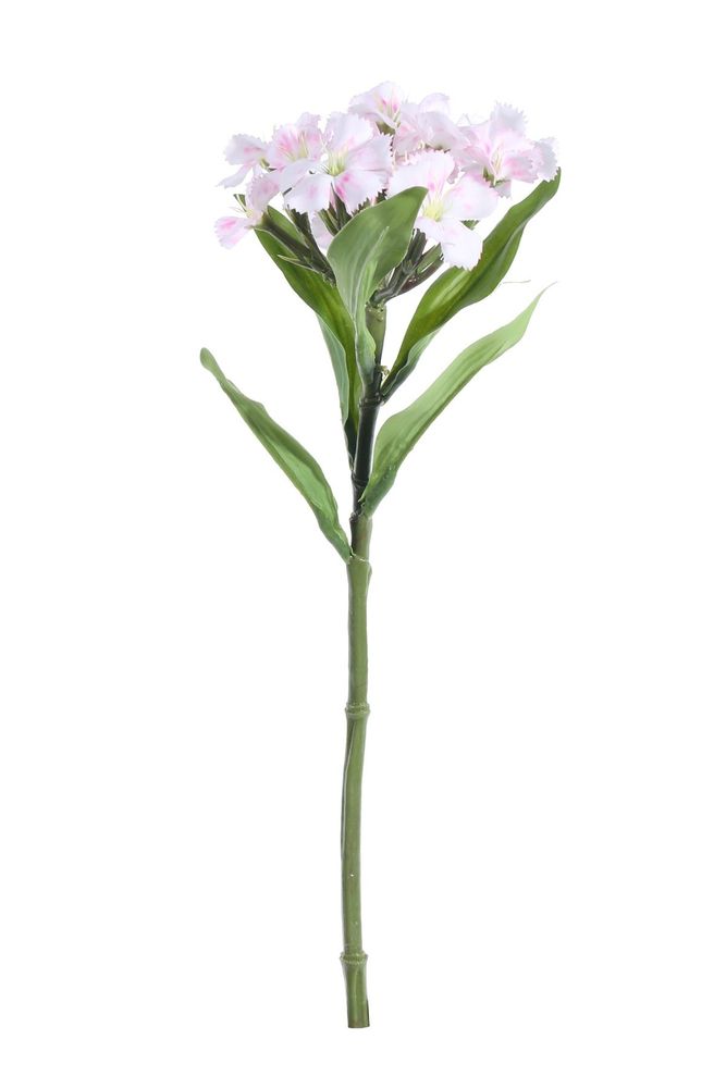 Artificial - Dianthus - Cream/Pink